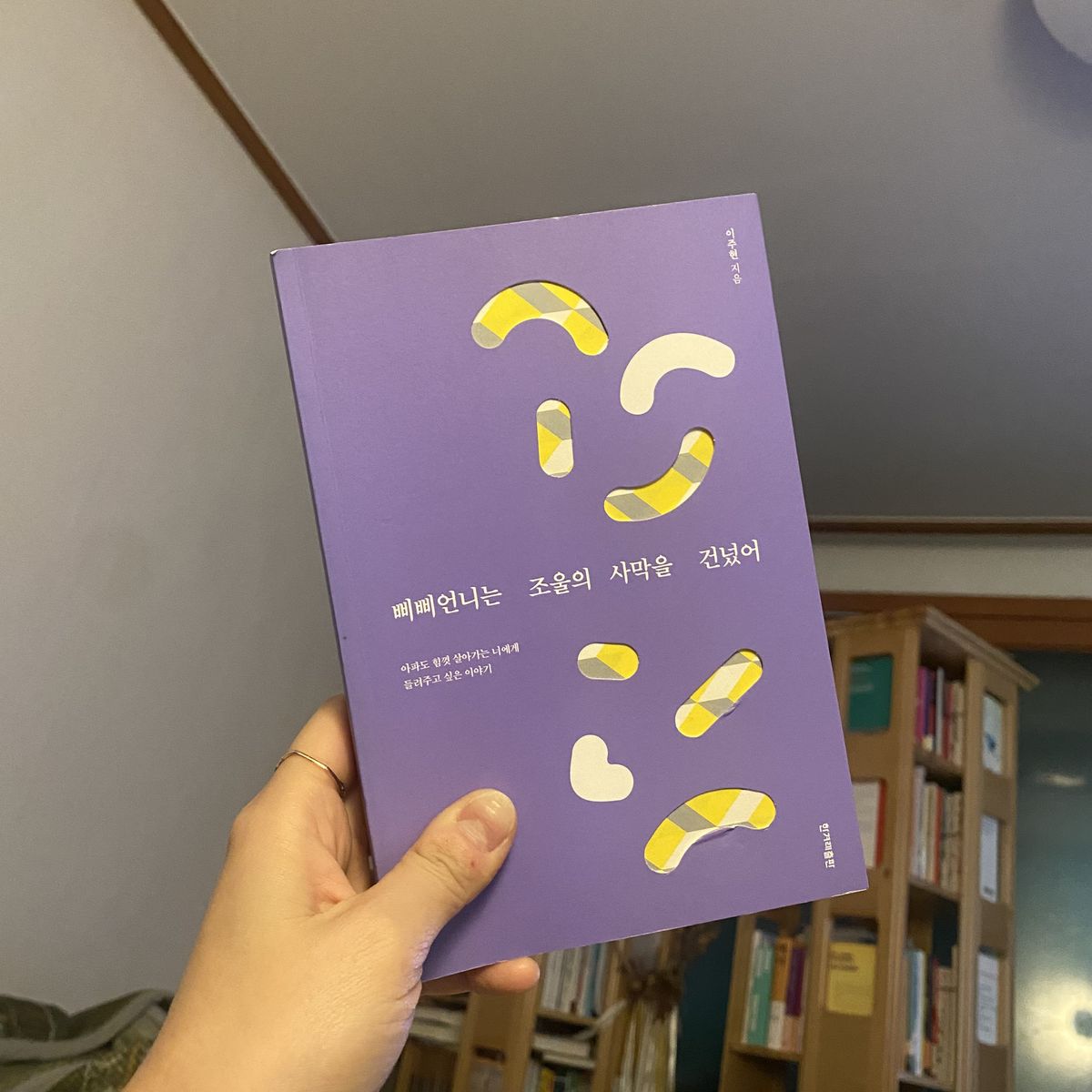 삐삐언니는 조울의 사막을 건넜어